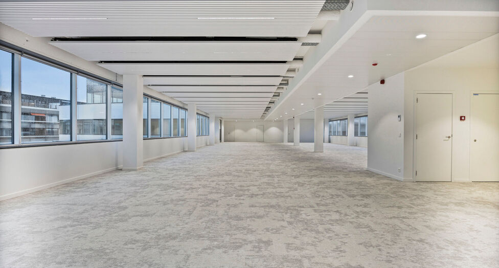 Compass in Antwerpen