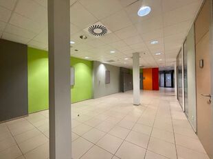 Commercieel gelijkvloers te huur in Malle