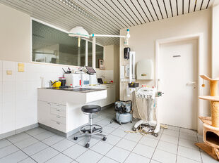 Deze mooie handelsruimte ligt pal in het commerciële centrum van Hove, met een mooie visibiliteit.
Het gelijkvloers heeft een private toegang vanaf de straat en is uitermate geschikt voor een waaier aan toepassingen (vb. vrije beroepen, groepspraktijk,.