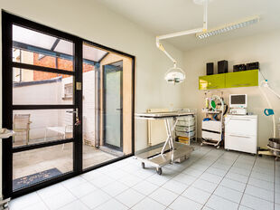 Deze mooie handelsruimte ligt pal in het commerciële centrum van Hove, met een mooie visibiliteit.
Het gelijkvloers heeft een private toegang vanaf de straat en is uitermate geschikt voor een waaier aan toepassingen (vb. vrije beroepen, groepspraktijk,.