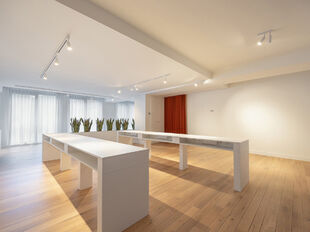 Kantoor te huur in Antwerpen