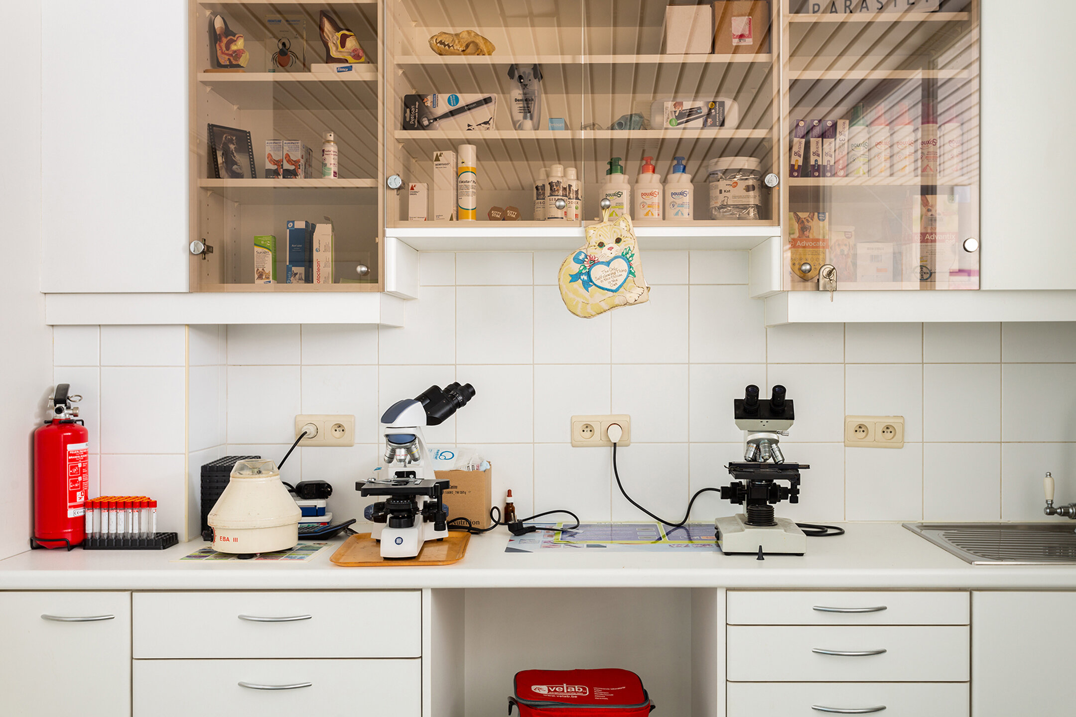 Deze mooie handelsruimte ligt pal in het commerciële centrum van Hove, met een mooie visibiliteit.

Het gelijkvloers heeft een private toegang vanaf de straat en is uitermate geschikt voor een waaier aan toepassingen (vb. vrije beroepen, groepspraktijk,.