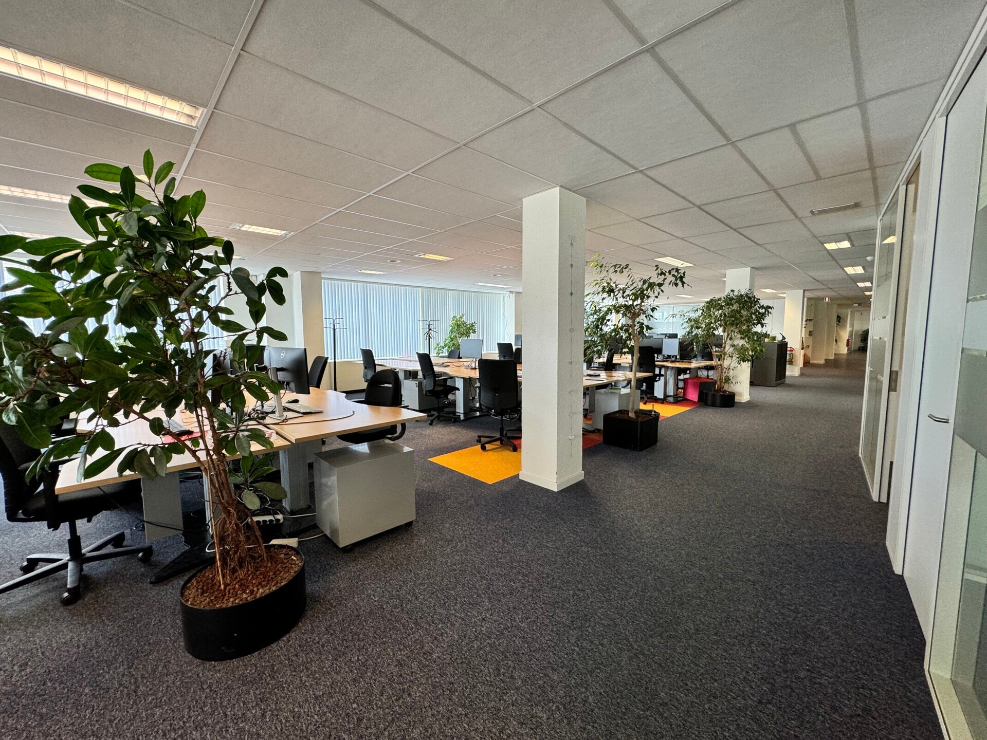 Kantoor te huur in Antwerpen