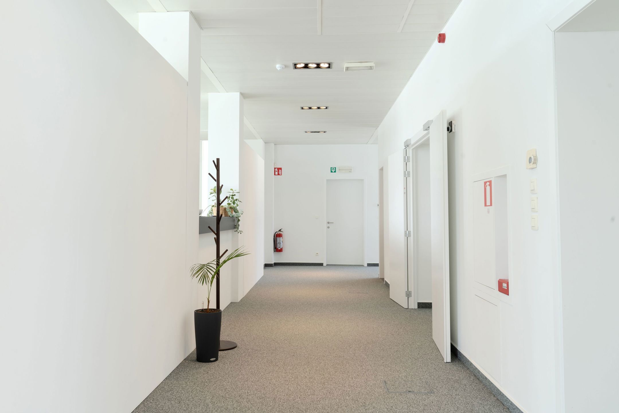Kantoor te huur in Antwerpen