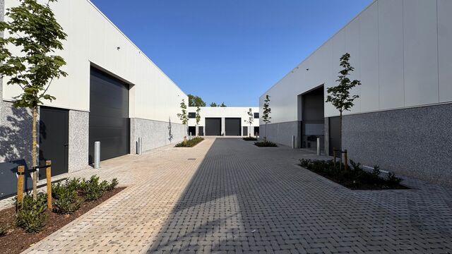 Deze KMO-unit, gelegen aan de Starrenhoflaan in Kapellen, heeft een oppervlakte van ca. 238 m&sup2; en wordt aangeboden tegen een huurprijs van &euro; 22.620/jaar. De ligging is bijzonder gunstig, met een vlotte aansluiting op de Kapelsestraat, de Kalmthoutseste